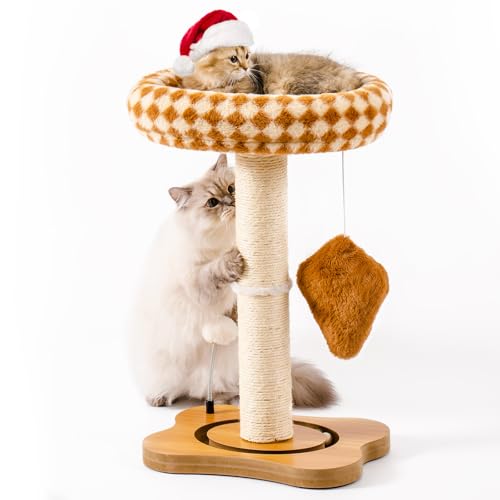 MEWOOFUN Kratzbaum, Katzen Baum Klein mit Plüsch Perch, Katzenmöbel Katzenkratzbaum Holz, 64 cm hoch, Kratzsäule mit Geflochtenem Natursisal, mit Plüschball Interaktiven Spielzeug Sockel, Braun von MEWOOFUN