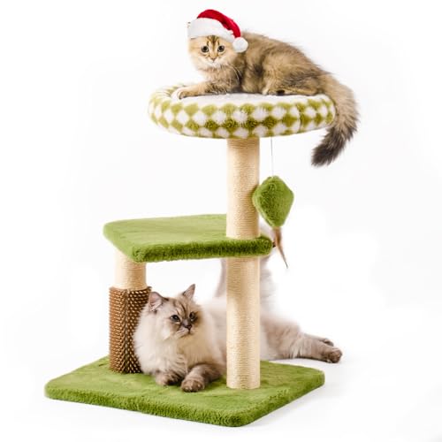 Katzenkratzbaum mit Katzenkratzpfahl Katzenkissen für Klein-mittel (Grün, 71CM) von MEWOOFUN