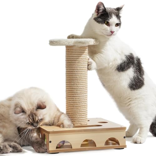 MEWOOFUN Interaktives Katzenspielzeug aus Holz, Puzzlebox mit Sisal-Kratzbaum für Hauskatzen – Interaktive Katzenbox mit 16 Löchern und 3 Glöckchenbällen, Katzen Puzzlebox lustiges Katzen Spielzeug von MEWOOFUN