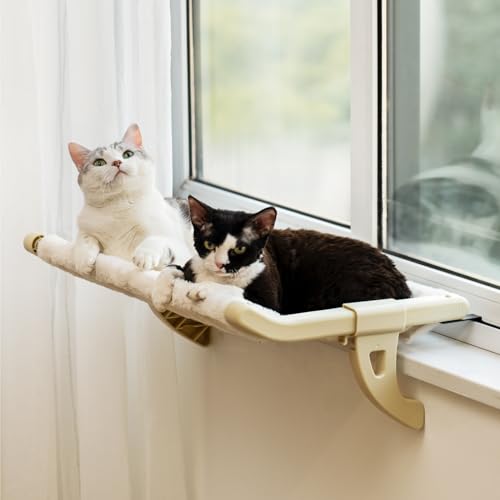 MEWOOFUN Katzen Hängematte Fenster Katzenbett Fensterbank für Katzen - 50x36cm Katzenbett für Heizung Katzen Hängematte mit mit weichem Bett Abnehmbarem Saugnapffrei hält 18kg (White L) von MEWOOFUN