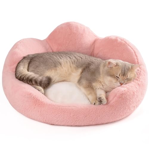 MEWOOFUN Katzenbett, groß, waschbar, flauschig, beruhigend, Haustierbett für Kätzchen, süßes Katzenbett, Sofa, 58 x 58 x 23 cm, Rosa von MEWOOFUN