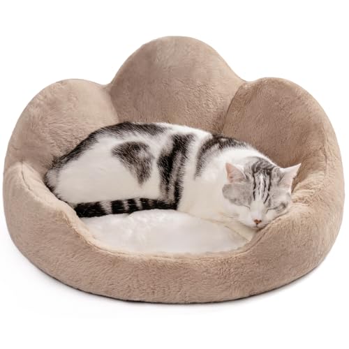 MEWOOFUN Katzenbetten für Hauskatzen, großes Katzenbett, waschbar, flauschig, beruhigendes Kätzchenbett, niedliches Katzenbett, Sofa-Design in Braun mit abnehmbarem Katzenkissen, 58 x 58 x 23 cm von MEWOOFUN