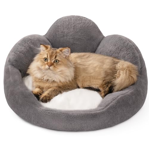 MEWOOFUN Katzenbetten für Hauskatzen, großes Katzenbett, waschbar, flauschig, beruhigendes Kätzchenbett, niedliches Katzenbett, Sofa-Design in Grau mit abnehmbarem Katzenkissen, 58 x 58 x 23 cm von MEWOOFUN