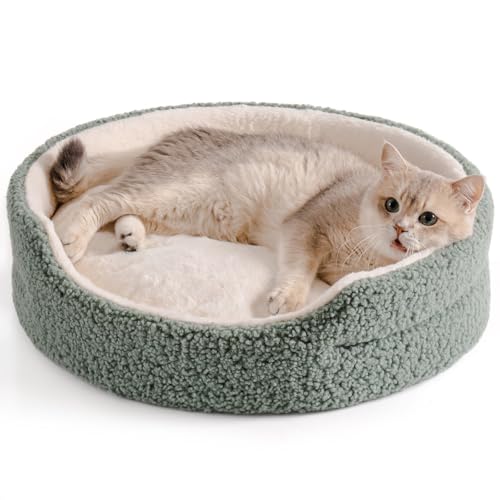 MEWOOFUN Katzenbetten für Indoor-Katzen, groß, 58 x 58 cm, rundes Katzenbett, weich mit doppelseitiger Matte, Haustierbett waschbar für Katzen, Welpen und kleine Hunde, Salbeigrün von MEWOOFUN