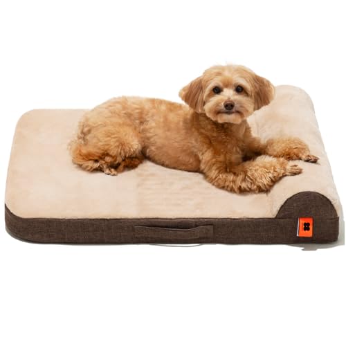 MEWOOFUN Hundebett für kleine Hundebox, waschbar, mit orthopädischem Eierkarton-Schaumstoff, Welpenbett mit abnehmbarem, wasserdichtem Bezug und Rutschfester Unterseite, 76 x 55 x 7 cm (Braun, M) von MEWOOFUN