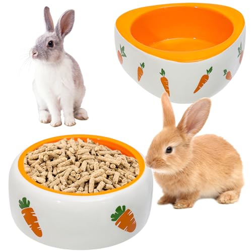 Hamster Futternapf,2 Stück 11 cm x 4,5 cm Meerschweinchen Napf,Keramiknapf Für Hamster,Hamster Fütterungsschale,Hamster Keramik Bowl Für Hamster,Welpen,Hase,Igel,Rennmäuse(Dreieck,Kreis) von MEYAGOT