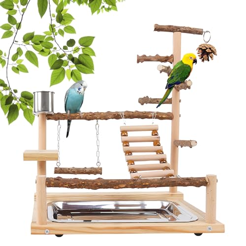 Vogelspielzeug, Papageienspielzeug, Wellensittich Spielzeug, Spielplatz Mit Feeder-Cup Spielzeug Leiter Erklimmen Schaukel Und Tablett Vogelschaukel Sitzplatz Für Sittiche Nymphensittich, 37x26x45CM von MEYAGOT