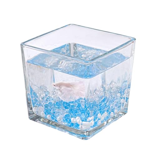 Aquarium Fischtank Aquarium-Starter-Kits, quadratisches kleines Aquarium for Kampffische, Guppys, Garnelen, Goldfische(12x12cm) von MEYINGOU