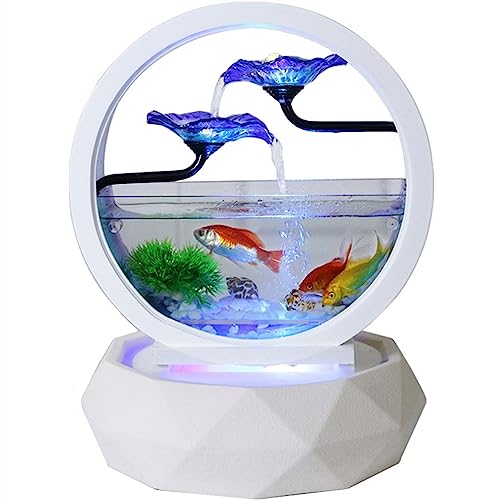 Aquarium Fischtank Rundes schönes transparentes Glas-Goldfischbecken for das Wohnzimmer, kleines ökologisches Desktop-Aquarium, Heim-Aquarium, Fischbehälter-Dekoration von MEYINGOU