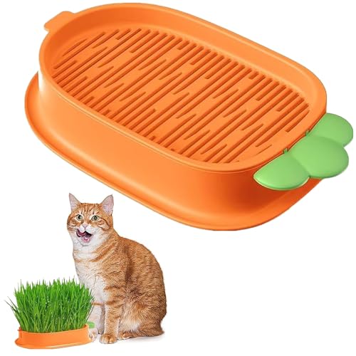 MEZOKUCEL Box zum Pflanzen von Katzengras, Tablett für Katzen, Tablett zur Keimung von Samen, Kit für Bio-Katzengras für Haustiere (1 orangefarbene Installation) von MEZOKUCEL