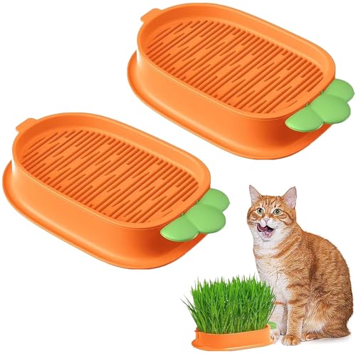 MEZOKUCEL Box zum Pflanzen von Katzengras, Tablett für Katzen, Tablett zur Keimung von Samen, Kit für Bio-Katzengras für Haustiere (2 Stellen Sie vor, Orange zu sein) von MEZOKUCEL