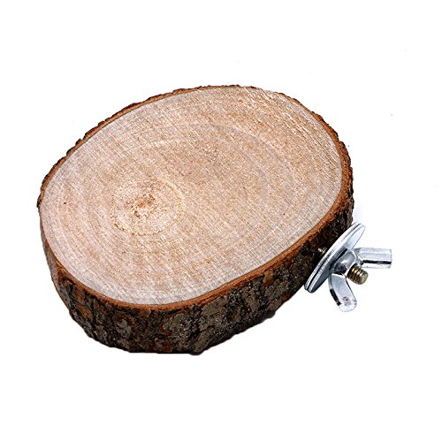 MHADBKH Papageien Holz Sitzstange Plattform Holz Kauspielzeug Für Kleine Vögel Sittiche Finken Kanarienvögel Wellensittiche Käfig von MHADBKH