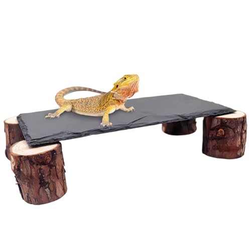 MHLLGN Bartdrache Sonnenplattform Schiefer Felsen für Reptilien mit Holzflor Leopard Gecko Felle und Höhlen Reptilienpanzer Zubehör für Bartagamen, Geckos, Kugelpythons, Schildkröte von MHLLGN