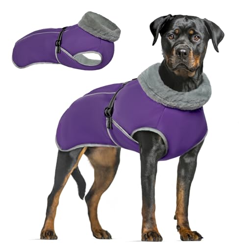 MHaustlie Hunde Wintermantel Wasserdicht, Hundejacke Winterweste Jacken Hundemantel, Warm, Reflektierende, Wasserdicht, Winddicht Hundeweste Grosse Hunde für Rottweiler, Golden Retriever (Lila, 2XL) von MHaustlie