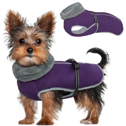 MHaustlie Hundejacke Kleine Hunde, Hundemantel mit Reflektierender Streifen, Einstellbar Wasserdicht Winddicht Welpenweste, Hundemantel für Kleine Hunde Yorkshire Terrier, Bichon Frise (Lila, S) von MHaustlie