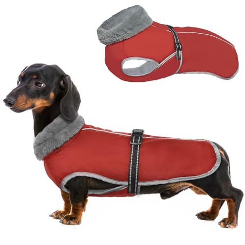 XL Hundewintermantel, fleecegefütterte Jacke für mittelgroße Hunde, reflektierender Extremwettermantel mit verstellbarem Riemen, französische Bulldoggenjacke, Warmer Hundemantel (Rot, XL) von MHaustlie