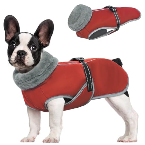 MHaustlie Hundemantel Grosse Hunde, Hunde Wintermantel Wasserdicht, Warme Hundejacke mit Einstellbares Nylonschnalle, Winddicht Hunde Warme Bekleidung für Französische Bulldoggen, Shiba Inus (Rot, L) von MHaustlie