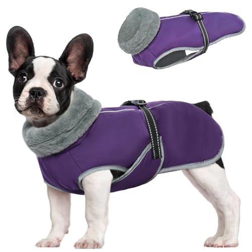 MHaustlie Hundeweste Französische Bulldogge, Winddicht Hundejacke mit Warm Fleece, Reflektierend Haustier Winterweste, Hundemantel Grosse Hunde für Französische Bulldogge, Shiba Inus (Lila, L) von MHaustlie