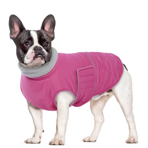 MHaustlie Welpenmantel Winddichte Winterjacke für Hunde kuschelige Hundeweste mit Fleece-Innenseite Warmer Hundeschnee-Mantel reflektierender Extreme-Wetter-Hundemantel für kleine Welpen (Rosa, XS) von MHaustlie