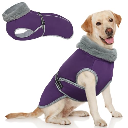 3XL Hundemantel, Winterjacke für große Hunderassen, warmer Hundemantel, reflektierende Hundeweste mit Geschirr, wasserdichte Winterkleidung für Hunde, große Hundejacke, Outdoor-Hundemantel (Lila, 3XL) von MHaustlie