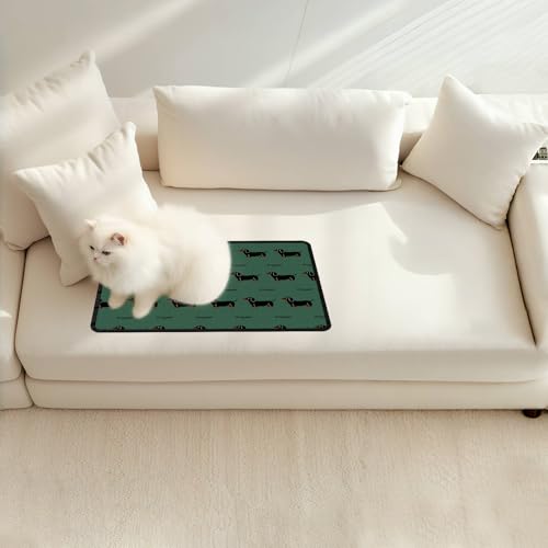 MIAOWSSS Katzenbettbezug, Sofa-Matte, rutschfeste Sofabezüge für Wohnzimmer, Couchüberzüge, Sofamatte, Sitzbezug, Hundematte, Haustierunterlage für Möbel, schmutzabweisend, Größe M (40,6 x 61 cm), von MIAOWSSS