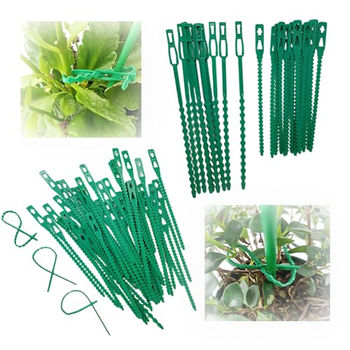 MIATTCLD 100Pcs Pflanzenbinder Verstellbar Kunststoff Baumbinder 17cm Grün Kabelbinder Gartenbinder Pflanzenband für Pflanzenunterstützung von MIATTCLD