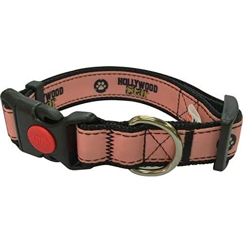 MICHI MICHI-C31 Hundehalsband Famous Doggie, XS von MICHI