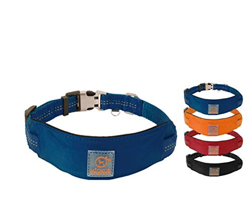 MICHUR Bruno HUNDEHALSBAND blau, Nylon Hundehalsband, Halsband für Hunde, Neon Blau, Neopren Polsterung, reflektierende Linien, verstellbar, in 3 Größen und die passende Leine erhältlich von MICHUR OUR WORLD OF PETS FINEST