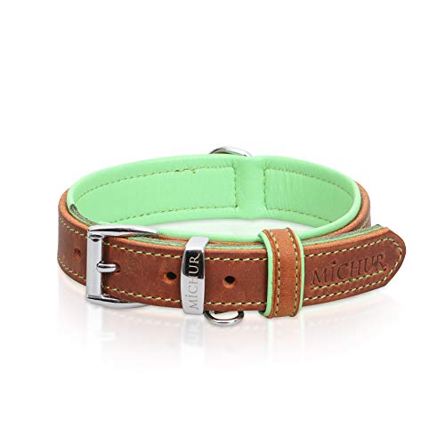 MICHUR Charly Hundehalsband Leder Braun Grün, Lederhalsband Hund, Halsband, Leder, in verschiedenen Größen erhältlich von MICHUR OUR WORLD OF PETS FINEST