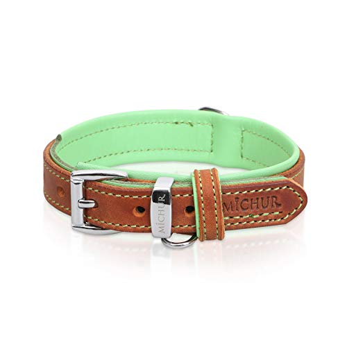 MICHUR Charly Hundehalsband Leder Braun Grün, Lederhalsband Hund, Halsband, Leder, in verschiedenen Größen erhältlich von MICHUR OUR WORLD OF PETS FINEST