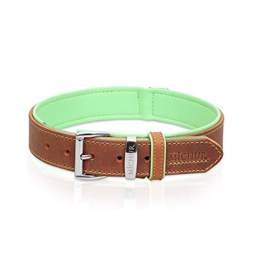 MICHUR Charly Hundehalsband Leder Braun Grün, Lederhalsband Hund, Halsband, Leder, in verschiedenen Größen erhältlich von MICHUR OUR WORLD OF PETS FINEST