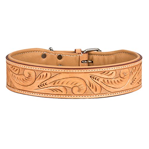 MICHUR Felipe Hundehalsband Leder, Lederhalsband Hund, Halsband, Leder, Caramel, Beige, Braun, MIT STANZUNGEN, in verschiedenen Größen erhältlich von MICHUR OUR WORLD OF PETS FINEST