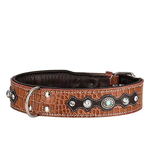 MICHUR Lakota Hundehalsband Leder, Lederhalsband Hund, Halsband, BRAUN, Leder, Blaue Steine MIT RUNDNIETEN, in verschiedenen Größen erhältlich von MICHUR OUR WORLD OF PETS FINEST