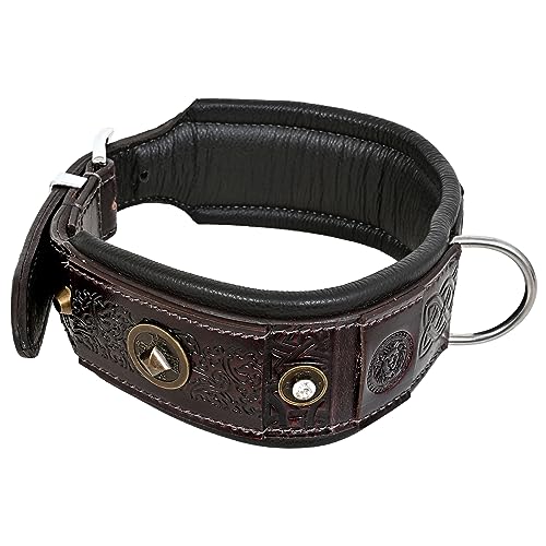 MICHUR Maximus Hundehalsband Leder, Lederhalsband Hund, Halsband, Braun mit schönem Stanzmuster, Leder, in verschiedenen Größen erhältlich von MICHUR OUR WORLD OF PETS FINEST