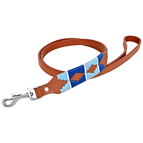 MICHUR Pippa Braun Blau Türkis Baumwollgarn Leine, Hundeleine Leder, Flachleine, Lederleine Hund, PASSEND ZUM Halsband Pippa, Gr. 150cm x 2,5cm von MICHUR OUR WORLD OF PETS FINEST