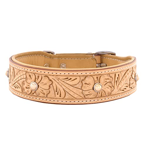 MICHUR Rafael Hundehalsband Leder, Lederhalsband Hund, Halsband, BEIGE, Leder, mit gestanzten Blumenmuster und beigen Steinchen, in verschiedenen Größen erhältlich, Halsumfang 61-68,5cm von MICHUR OUR WORLD OF PETS FINEST