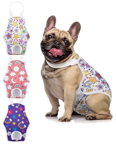 MICOOYO Hunde-Periodenhose, wiederverwendbare Hundewindeln für Hündinnen, mit verstellbarem Strumpfhalter, waschbar, Damenhose für Hündinnen, Katzen, Welpen, Regenbogen, Größe XL, 3 Stück von MICOOYO