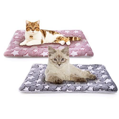 MICOOYO Hundebox Bett Matratze - Fleece Haustier Kissen Bett Matte, Waschbar Katzenkissen Pad für kleine Hunde Katze Welpen (S) von MICOOYO
