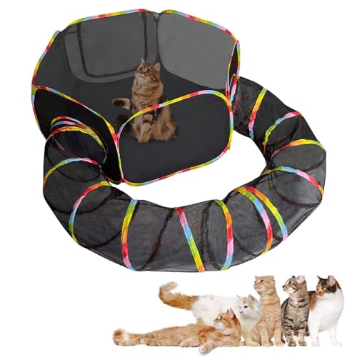 A,MIDUOLAI Regenbogen-Spielplatz Katzengehege Im Freien, Tragbares Katzenzelt Mit Rundem Katzentunnel Und Aufbewahrungstasche, Ideal FüR Hauskatzen, KäTzchen Und Kleintiere von MIDUOLAI