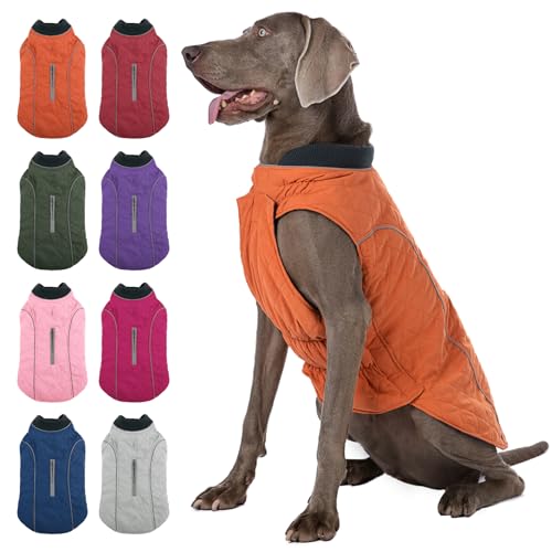 MIGOHI Hunde-Winterjacke, warmer Hunde-Wintermantel für kleine, mittelgroße und große Hunde, dicke Haustierbekleidung für kaltes Wetter, Orange S von MIGOHI