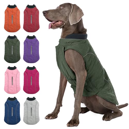 MIGOHI Hundejacke für den Winter, Winddichter Hundemantel mit reflektierenden Rändern für kaltes Wetter, Warme Hunde-Wintermäntel Gepolsterte Hundepufferjacken für kleine mittelgroße große Hunde, Grün von MIGOHI