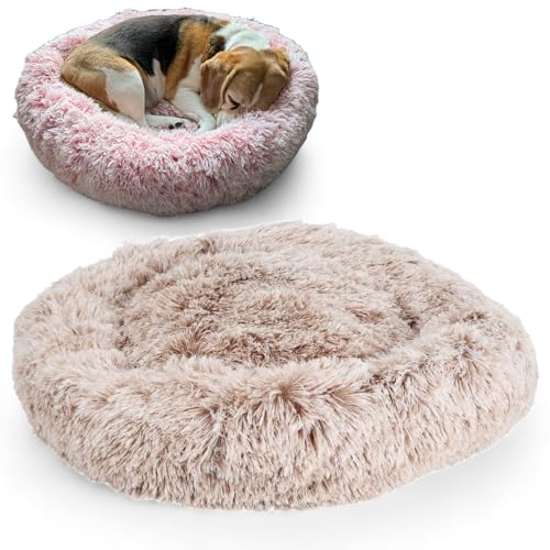 MIJOMA Kuschelweiches Hundekörbchen – Liegeplatz für Hunde – Anti-Rutsch, waschbar, plüschig, rund Ø60 x 16cm (Beige) von MIJOMA