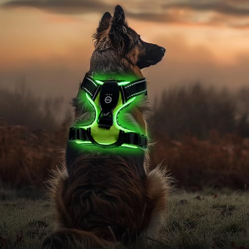 LED Hundegeschirr Leuchtend, USB Aufladbar, Brustgeschirr Hund Reflektierendes & Atmungsaktiv, Beleuchtetes Geschirr für Nachtspaziergänge, für Klein Mittelgroße Grosse Hund (Schwarz Grün,M) von MILAIUN