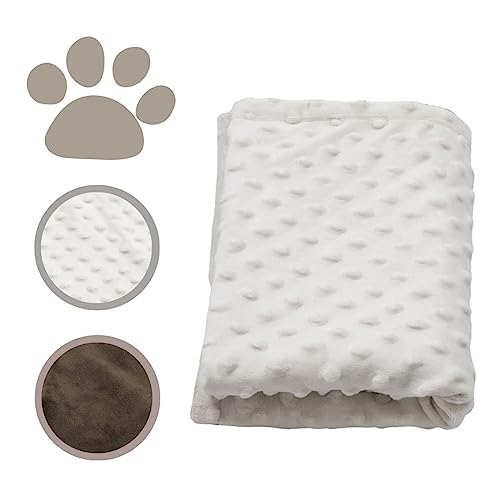 MIMIKO Pets - Hundedecke & Katzendecke Flauschig | (100x75cm) Ecru | Hundedecke für Unterwegs & Auto | Hundedecke Waschbar gut für Sofa | Decken für Katzen & Hunde | Kuscheldecke, Hundedecken von MIMIKO Pets