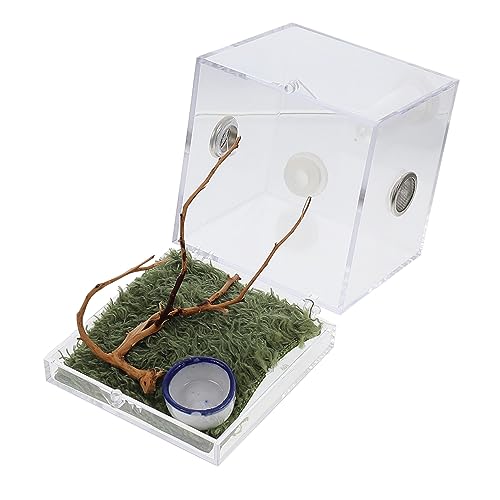 MINAOLULUS 1satz Einfaches Habitatbox Für Springspinne Transparente Zuchtbox Mit Zubehör Für Fütterung Und Transport Von Kleinen Spinnen Leicht Und Tragbar Für Innenräume Und MINAOLULUS 1satz Einfaches Habitatbox Für Springspinne Transparente Zuchtbox Mit Zubehör Für Fütterung Und Transport Von Kleinen Spinnen Leicht Und Tragbar Für Innenräume Und von MINAOLULUS