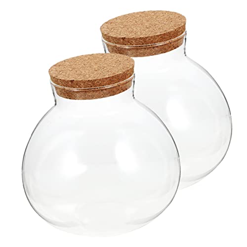 MINAOLULUS 2stücke Glasbehälter Mit Korkdeckel Transparente Flasche Für Mikrolandschaften Pflanzen Deko Für Projekte Kräuterbehälter Tischvase Ostern Deko MINAOLULUS 2stücke Glasbehälter Mit Korkdeckel Transparente Flasche Für Mikrolandschaften Pflanzen Deko Für Projekte Kräuterbehälter Tischvase Ostern Deko von MINAOLULUS