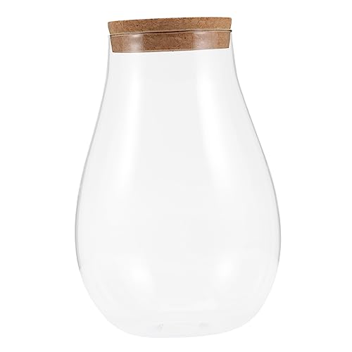 MINAOLULUS DIY Hydroponic Bryophyte Container Glas Terrarium Für Wasserpflanzen Mit Korkverschluss Für Innendekoration Und Mikrolandschaften MINAOLULUS DIY Hydroponic Bryophyte Container Glas Terrarium Für Wasserpflanzen Mit Korkverschluss Für Innendekoration Und Mikrolandschaften von MINAOLULUS