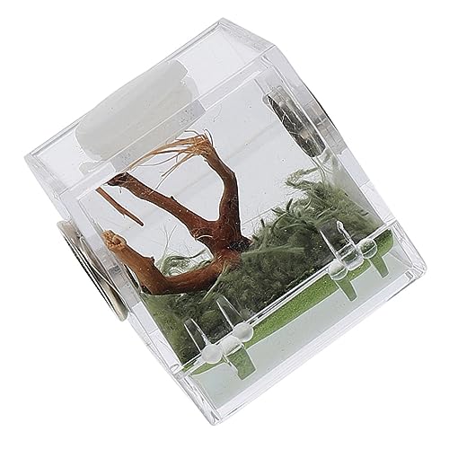 MINAOLULUS Zuchtbox Für Springspinnen Belüftetes Terrarium Für Insekten Und Reptilien Transparentes Habitat Zur Artgerechten Haltung Mittelgroß MINAOLULUS Zuchtbox Für Springspinnen Belüftetes Terrarium Für Insekten Und Reptilien Transparentes Habitat Zur Artgerechten Haltung Mittelgroß von MINAOLULUS