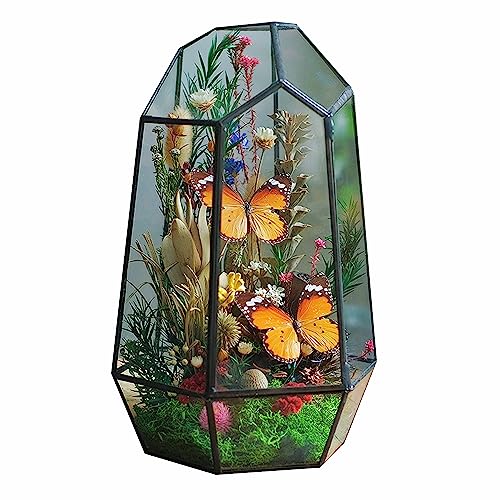 MINGZE Glas Blumentöpfe, Geometrischer Glasblumentopf mit tür, handgefertig als Blumentopf für Miniatur-Bonsai, Blumentopf für Sukkulenten, Keine Pflanzen (16.5 * 14.5 * 25cm, Schwarz) von MINGZE
