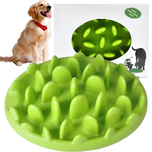 MINGZE Hund und Katze Schüssel Slow Feeder Pet Interactive Fun Futternapf, Slow Feed Dog Bowl Interaktive Aufblähung Stop Pet Feed Bowl, Slow Down Essen (Grün) von MINGZE